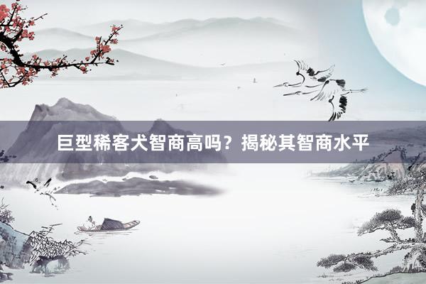 巨型稀客犬智商高吗？揭秘其智商水平
